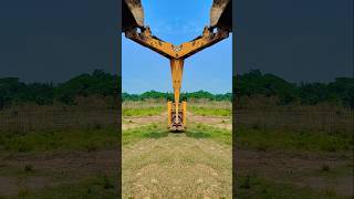 JCB TRENDING VIDEO 🔥😱🔥 jcb tractor jcbvideo [upl. by Mya]