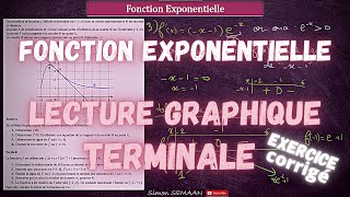 Fonction Exponentielle  Lecture Graphique  BAC Spé  Exercice Corrigé [upl. by Aiuqcaj490]