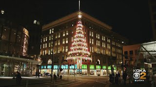 Highmark Tree Lights For The Holiday Season [upl. by Maziar]