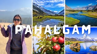 Exploring Pahalgam A Hidden Gem in the Himalayas 2024 [upl. by Jackson183]