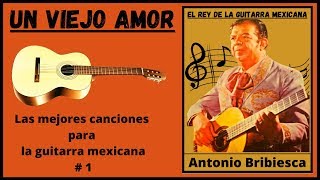 Un Viejo Amor  1 La Guitarra Mexicana de Antonio Bribiesca [upl. by Sanbo]