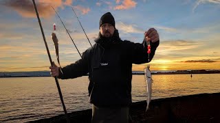 Hartlepool Pilot Pier Practicing Using Multiplier Reels And Catching Plenty Of Whiting [upl. by Laurance]