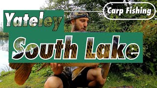 YateleySouth Lake  Carp Fishing  Big Common [upl. by Anassor]