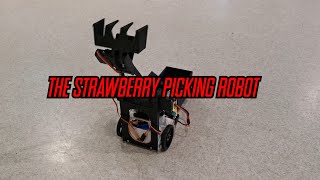 Strawberry Picking Robot  MAS507 UiA [upl. by Leemaj]