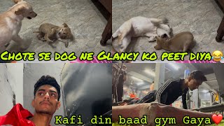 Chote se street dog ne Glancy ko buri tarah se peet diya😂  AMAN MALIYAN  vlog trending youtube [upl. by Lehcar]