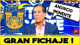 😲✅ ¡FIRMA OFICIAL ¡YA ESTÁ EN LOS FELINOS ¡LAS ÚLTIMAS NOTICIAS DE TIGRES DE HOY UANL HOY [upl. by Ailedroc]