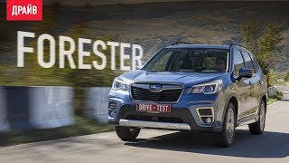 Subaru Forester 2018 ― тестдрайв с Никитой Гудковым [upl. by Nawud]