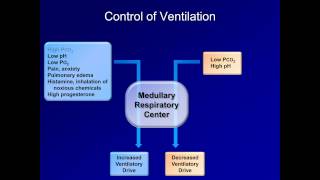 Respiratory Alkalosis ABG Interpretation  Lesson 12 [upl. by Oletta]