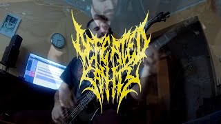 Defeated Sanity  Hideously Disembodied Bass Cover [upl. by Iral]