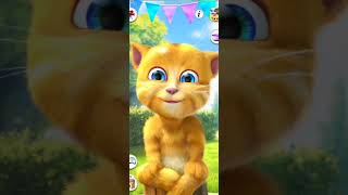 Talking Tom cat video [upl. by Cherin]