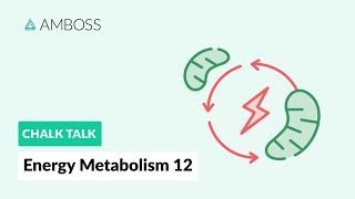 Energy Metabolism  Part 12 Ketone Body Metabolism [upl. by Orsay]