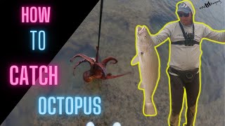 Witsands Kabeljou  how to catch octopus for bait [upl. by Noramac]