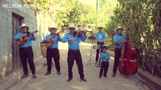 LOS SANCHEZ MIX GRUPO CHANCHONA LOS SANCHEZ [upl. by Allemac]