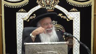 Parashat pinhasWeekly Torah Portion Rabbi Benyahu Shmueli Shalita [upl. by Aikrahs]