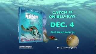 Finding Nemo  Available on Bluray Combo Pack December 4 [upl. by Nelra]