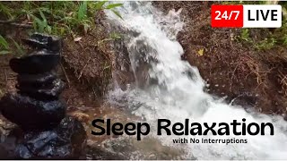 good sleep all the time calm relieve stress calm music [upl. by Ham752]