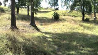 Walking among the Viking graves at Björkö [upl. by Omari954]