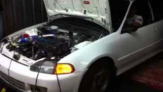 Civic Ragtech  Dorado Dyno  Dohc ZC Turbo  TG Performance [upl. by Ingemar]