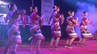 Karavaan 2015 IISER Pune Showcase on Odia song [upl. by Rozanna793]