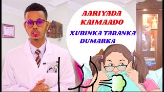 DUMARKA AARIYADA KAIMAADO XUBINTA TARANKA MAXAA KEENO💨 💨❓ Dr faris [upl. by Leanor]