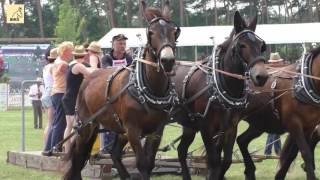 TITANEN DER RENNBAHN 2016 PLatz 1 Zugleistung Vierspänner  leichte Klasse [upl. by Castro]