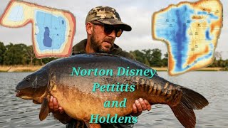 Norton Disney Pettitts And Holdens catches carpfishing embryonortondisney [upl. by Anidualc]