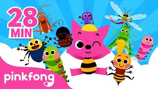 Chansons des Insectes pour les Petits  Comptines  Pinkfong Bébé Requin  Chansons pour Enfants [upl. by Pengelly]