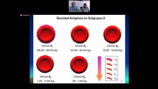 DISCREPANCIAS DE GRUPO SANGUÍNEO GLOBULAR Y SERICO [upl. by Estelle129]