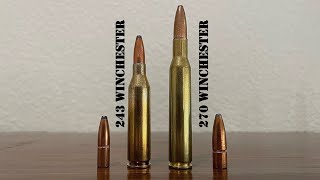 243 vs 270 Winchester Review amp Comparison [upl. by Libenson]