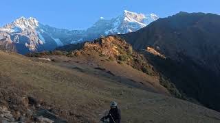 Buddha madmaheswar trek in early morning to witness golden chaukhamba [upl. by Yenreit627]