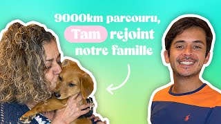 Episode 166  9000km parcouru Tam rejoint notre famille [upl. by Einitsed277]