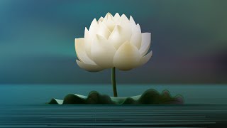 Buddha Instrumental Music BEST Collection ⭐ Buddhism Crystals Music Playlist Buddhist Songs BGM [upl. by Nicole93]