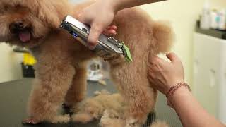 oneisall Metal Dog Clippers for Thick Hair [upl. by Nnaeel]