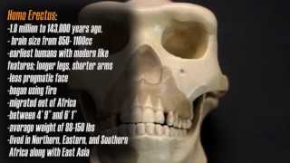 Homo Habilis Documentary  Part 1 quotInto Our Pastquot [upl. by Sirk]