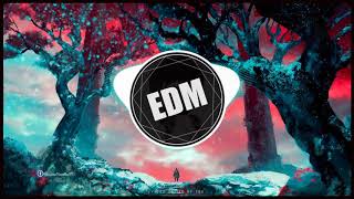 Melody Douyin  Top 12 Tracks EDM Mix Deep Melodious ♫ EDM Relax [upl. by Elocn]