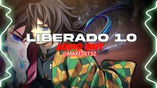 Automotivo Liberado 10  Tokyophile Audio Edit [upl. by Acirrej]