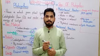 Introduction To Photosynthesis Class 11 In Urdu Hindi By Haider Ali  Steps Of Photosynthesis [upl. by Stovall118]