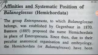 Affinities of balanoglossusHemichordata YashPartner [upl. by Mutat244]