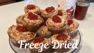 Freeze Dried Friday Raspberry Muffins [upl. by Idnir]