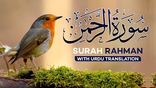 Surah Rahman Urdu Tarjuma k Sath  Qari Al Sheikh Abdul Basit Abdul Samad NEW [upl. by Enovad303]