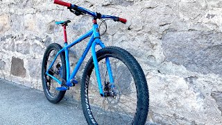 The Pandemic Build  Custom Surly Krampus Bike Check [upl. by Lemay665]