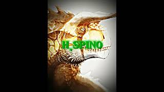 Hypo carno vs tissoplastic spino [upl. by Franchot]