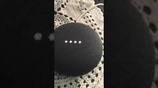 Google Home Assistant Mini Screams And Disappears [upl. by Yale]