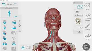 Anatomi Glandula Thyroidea dan Glandula Parathyroidea [upl. by Acnaiv]