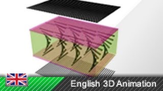 TFT  LCD Monitor  How it works 3D Animation [upl. by Marcille]