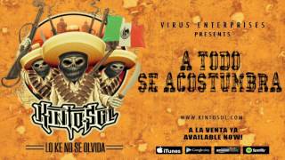 Kinto Sol  A Todo Se Acostumbra Audio [upl. by Nema]