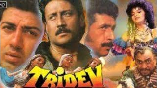 Tridev Full Movie In Hindi  Sunny Deol  Madhuri Dixit  Naseeruddin Shah  Jackie  Facts amp Review [upl. by Imot63]