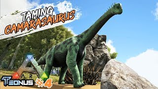 Ga Dikasih Nafas Taming Camarasaurus 😁 Ark Teonus [upl. by Trawets]