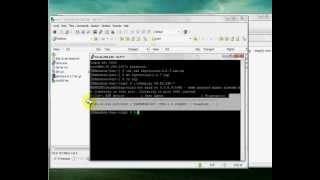 Sip Hacks and Exploitswmv [upl. by Loesceke926]