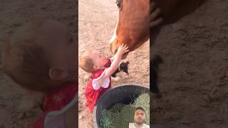 Kiddo Gives Good Night Kisses to Her Horses  Viralhog [upl. by Nidla]